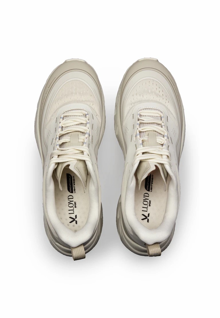 dash x