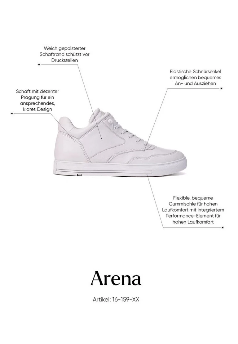 arena