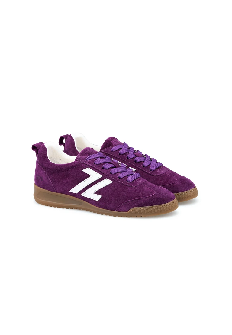 polso 77